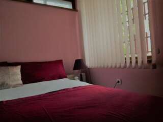 Отели типа «постель и завтрак» Villa Valley of Roses Павел-Баня Номер Делюкс с кроватью размера «king-size»-8