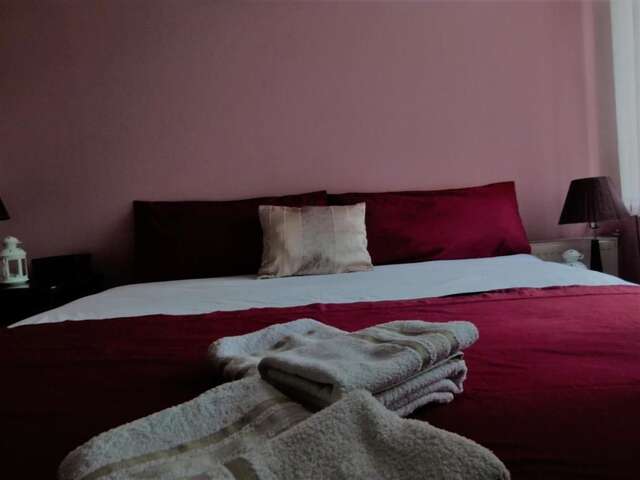 Отели типа «постель и завтрак» Villa Valley of Roses Павел-Баня-55